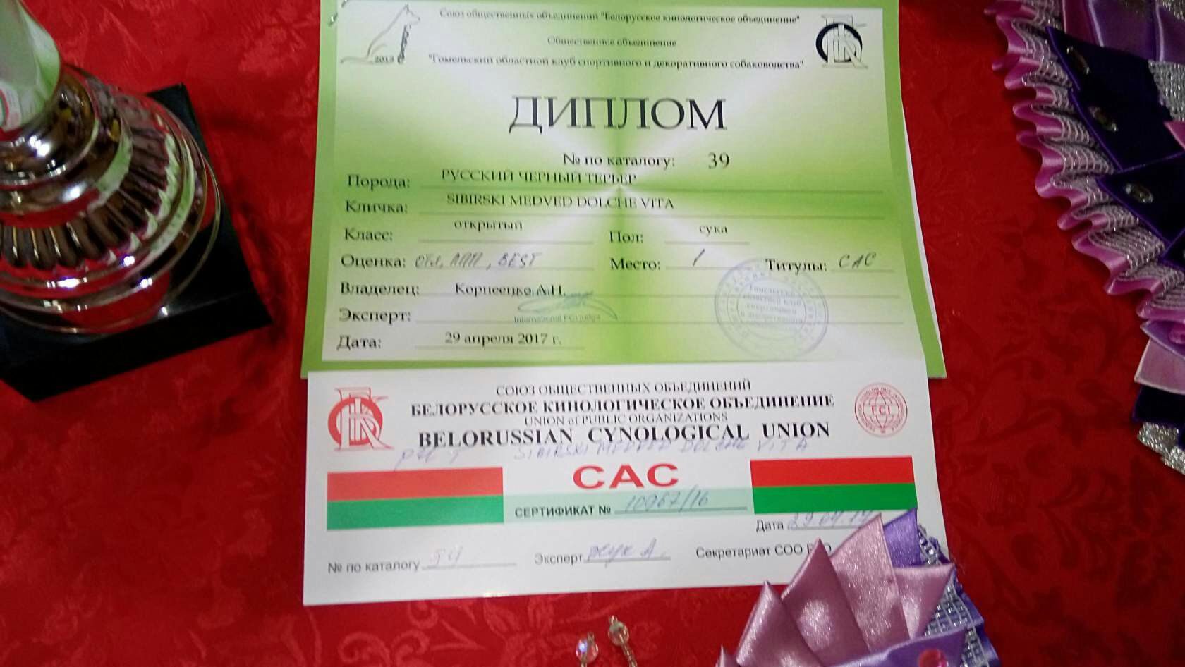 1521554775485 270