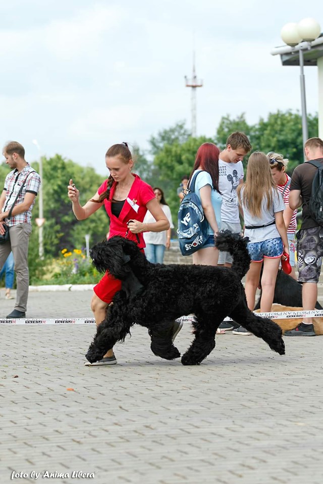 QYHzndVaLcA