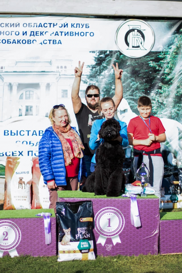 Выставка г.Гомель
