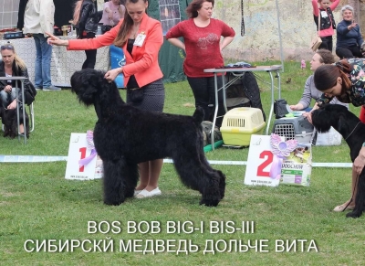 Региональная выставка собак в Гомеле