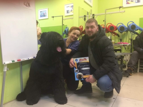 Мастер класс по грумингу