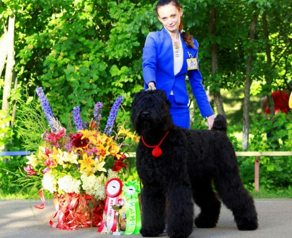 Выставка в г. Сафоново, Россия